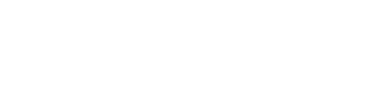 Wirsindscheibling-negativ