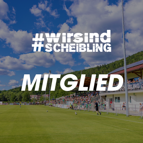 #wirsindscheibling - Mitglied 2025/26