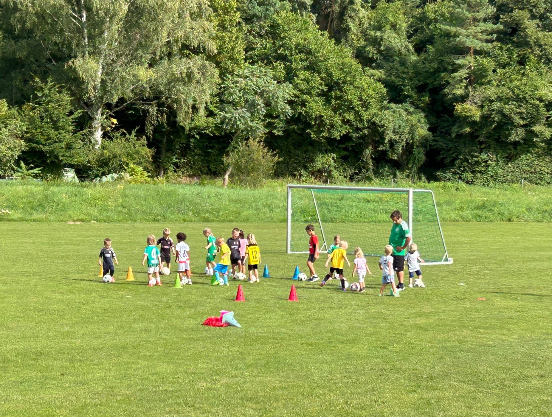 WhatsApp Image 2025-08-19 at 19.50.07